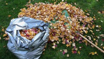 comment faire un compost de feuilles