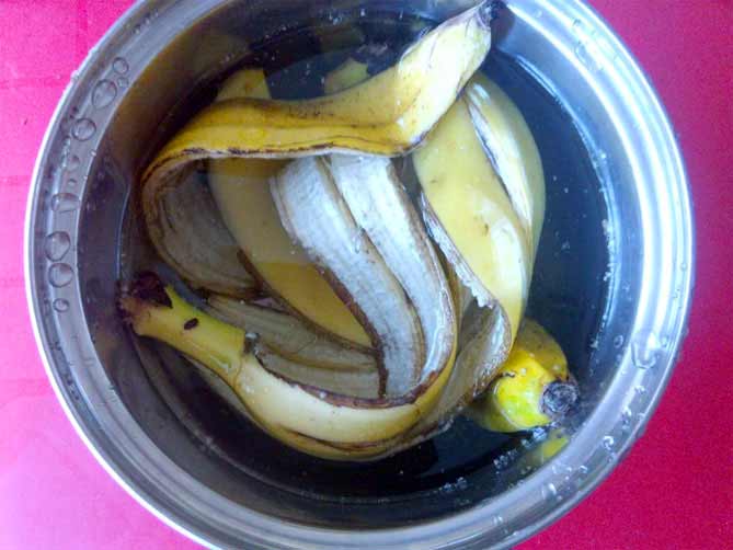 faire engrais avec peaux de banane