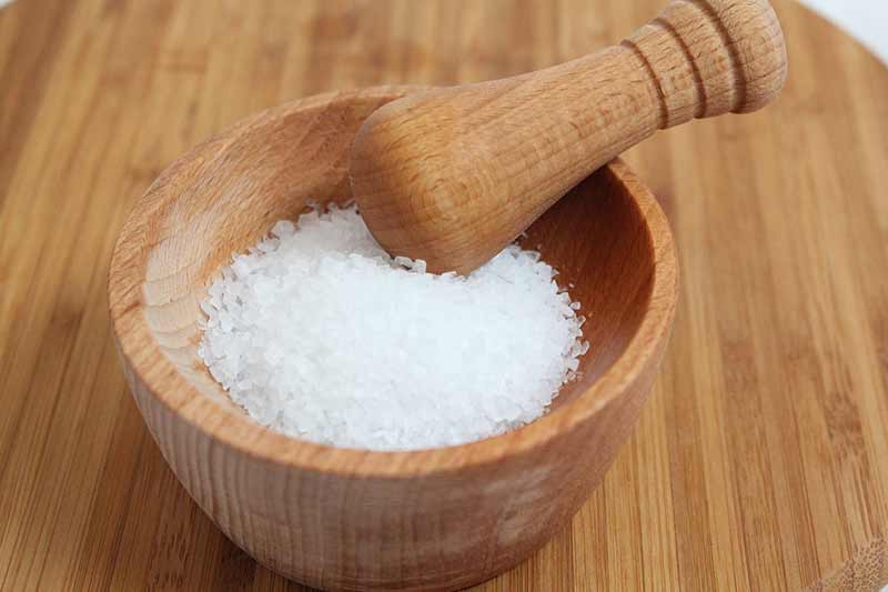 sel et bicarbonate