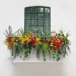 cultiver des fleurs, des plantes, des fruits sur son balcon