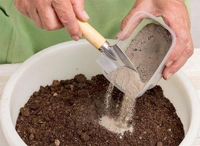 fertiliser plantes en pots